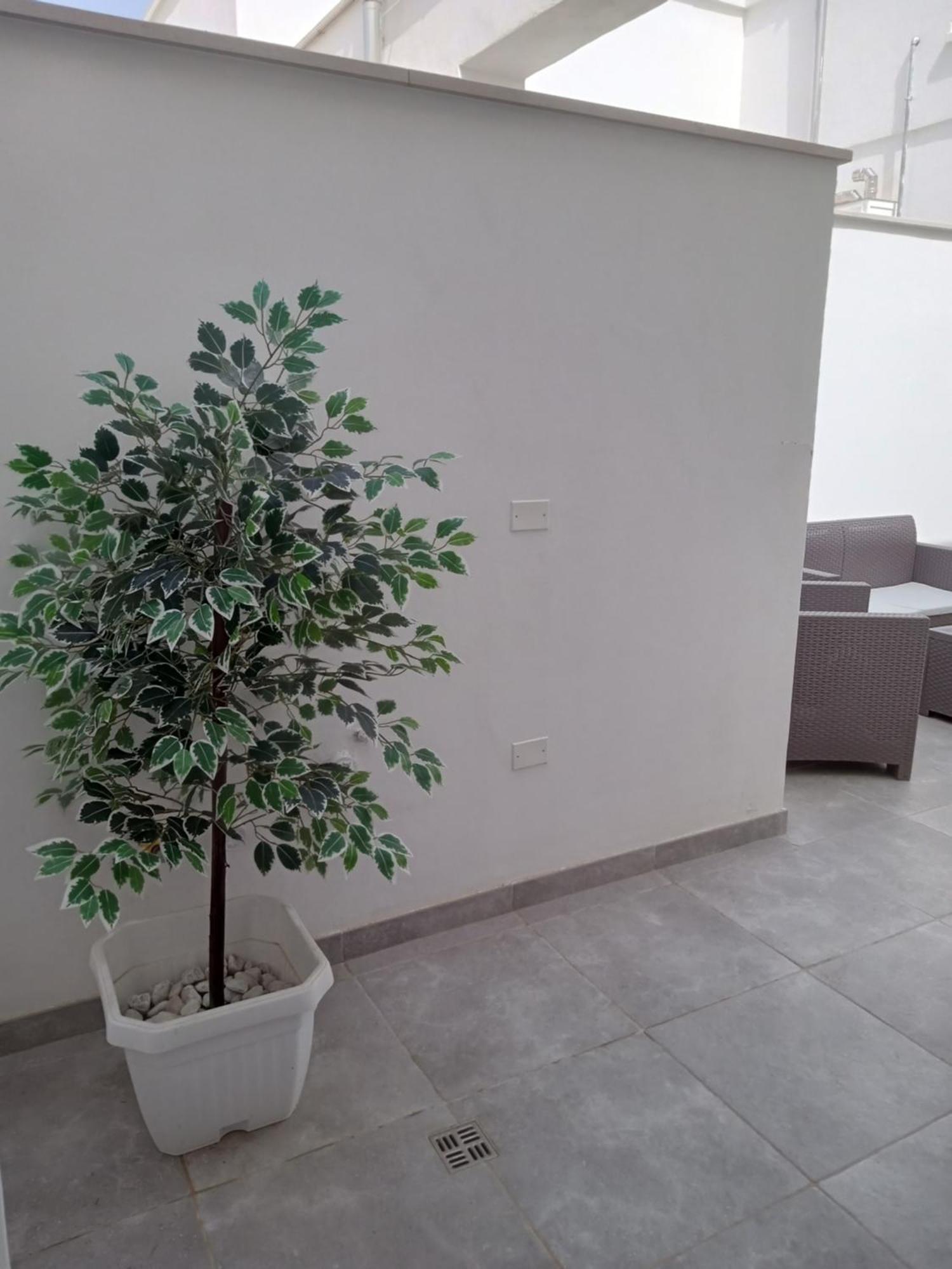 דירות לבראנו Casa Lucia מראה חיצוני תמונה